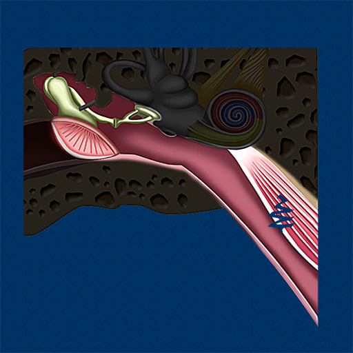 Middle Ear ID دانلود در ویندوز