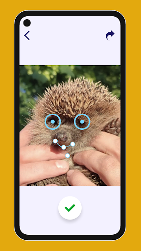 My Animated Pet: talking cat Screen 2