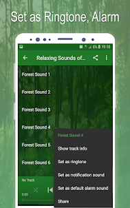 Relaxing Sounds of Forest