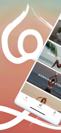 Screenshot of RENEW with Riva
