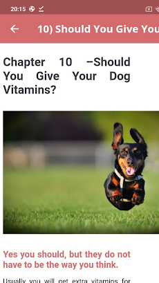Dog Food Healthyのおすすめ画像5