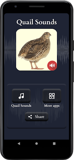 Quail Sounds Screen 2