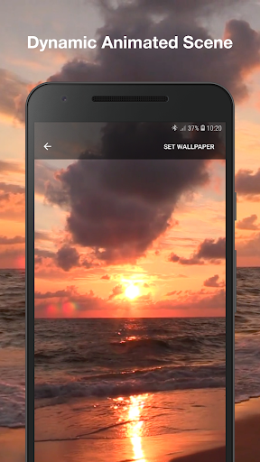 Sea Beach Live Wallpaper Pro Screen 2
