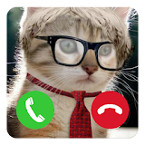 Fake Call Cat Prank icon