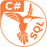 C# 9 & SQL icon