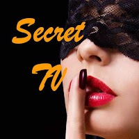 Secret TV - Retro Movie Flix
