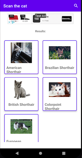 Scan the cat Screen 2