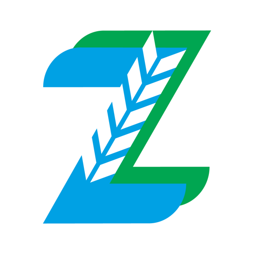 זבולונט logo