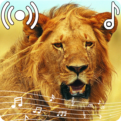 Lion Roar - Sound Effect
