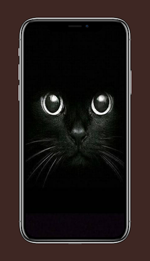 خلفيات سوداء فخمه Screen 2
