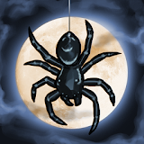 Spider: Rite of Shrouded Moon icon