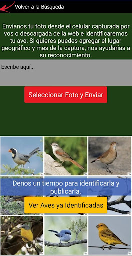 Aves en reserva Screen 3