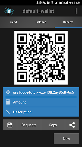 Electrum-GRS Screen 3