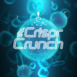 CRISPR Crunch icon