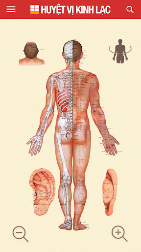 Huyệt vị Kinh Mạch screenshot 2