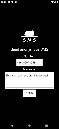 Anonymous SMS Screen 2