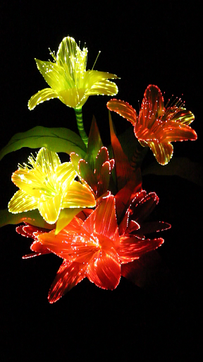 Optic Flowers Live Wallpaper