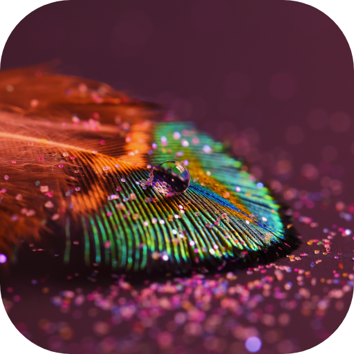 Feather Live Wallpaper logo