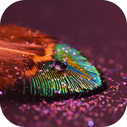 Icon image Feather Live Wallpaper