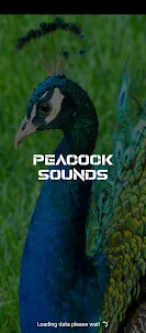 peacock sounds