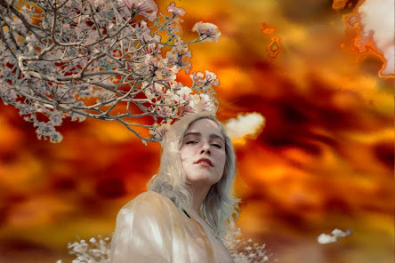 Imagem da captura de tela