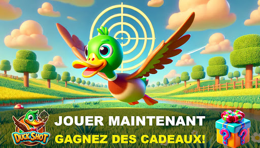 Aperçu de l'application