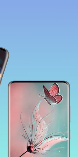 butterfly wallpaper 4k Screen 2