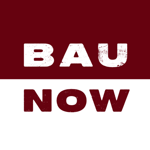 BauNOW