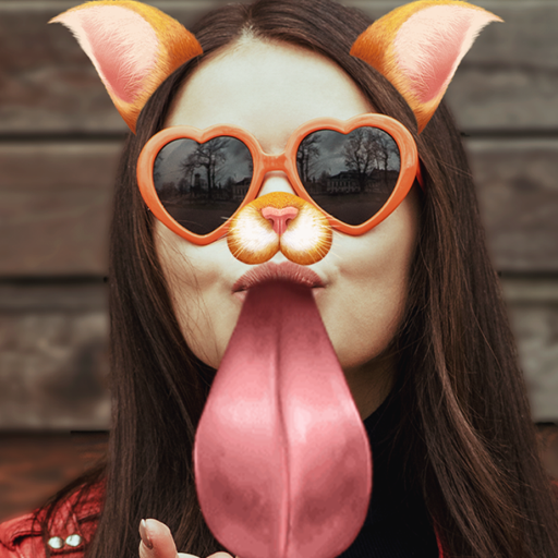 Faceart 自拍相机 照片滤镜和相机有趣的效果 Google Play 應用程式