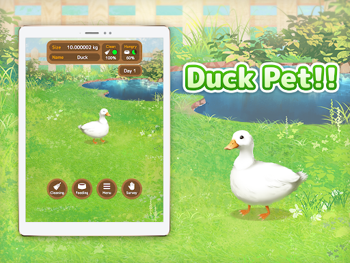 Duck Pet Screen 2