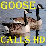 Goose Calls HD icon