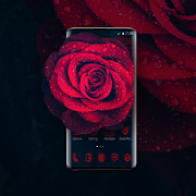 Glamorous Red Rose Launcher  Icon