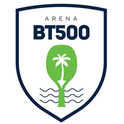 Arena BT500 logo