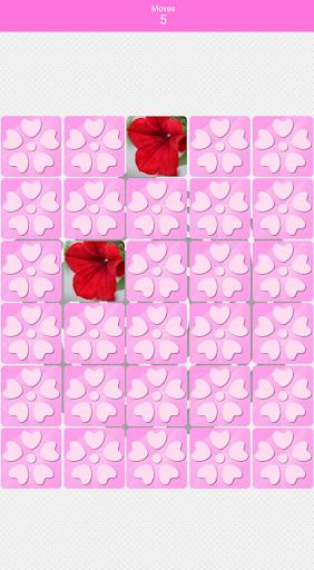 Pairs Flowers Screen 2