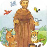 El santo francisco de Asis icon
