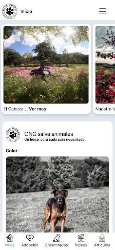 Ong Salva Animales Maldonado Screen 3