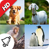 150 Animal Ringtones icon