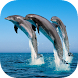 Sea Animals Wallpaper - Androidアプリ
