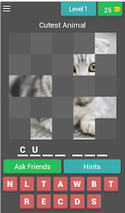Guess Picture