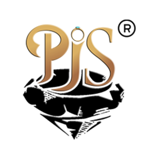Punjab Jewellers And Sons logo