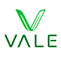 Vale: Download & Review