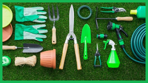 Basic Gardening Tips