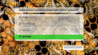 Eesti Mälumängu lisaküsimused - Screenshot 3