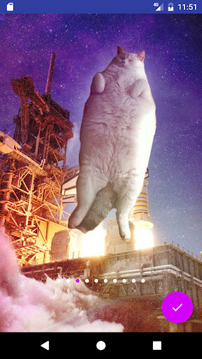 Cats In Space HD Wallpapers Screen 2