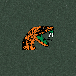 Icon image Florida A&M Rattlers