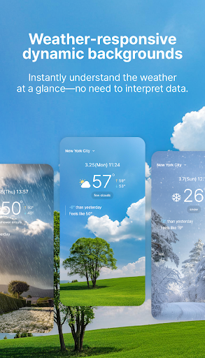 FirstWeather Screen 3
