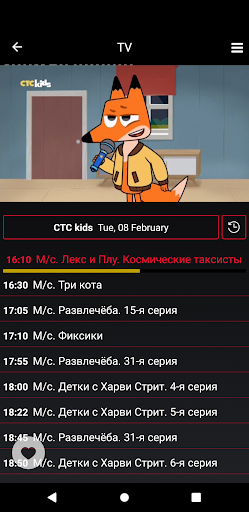 Redmax TV Screen 3