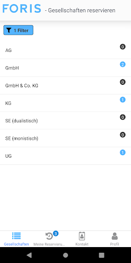 FORIS Vorratsgesellschaften Screen 3