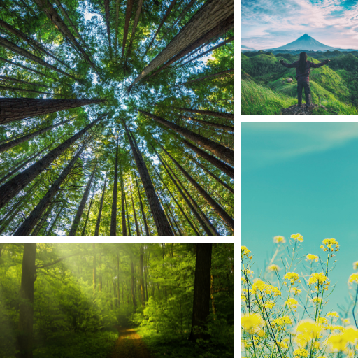 Nature Wallpapers & Background logo