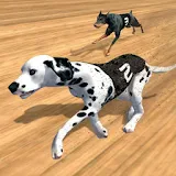 Sprint Dog Racing : Wild Dog Adventure Race Tracks icon